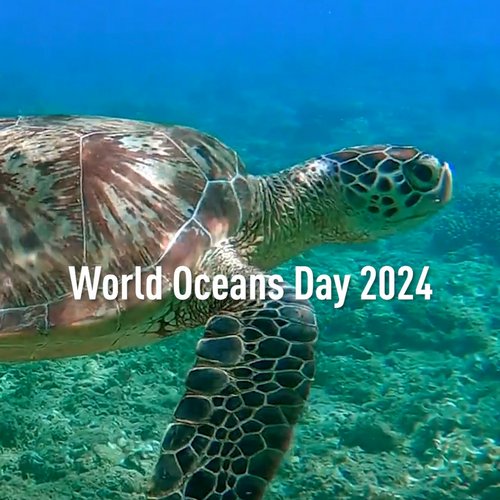 🌊🌍 Happy World Oceans Day! 🌍🌊
Die Ozeane sind ein wahres Wunder, ohne die es auf der Erde kein Leben gäbe. Deshalb ist...